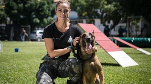 [Morte, sequestro, sucesso e solidão para alguns.  Você gostou do final de 'A Força do Querer'?]