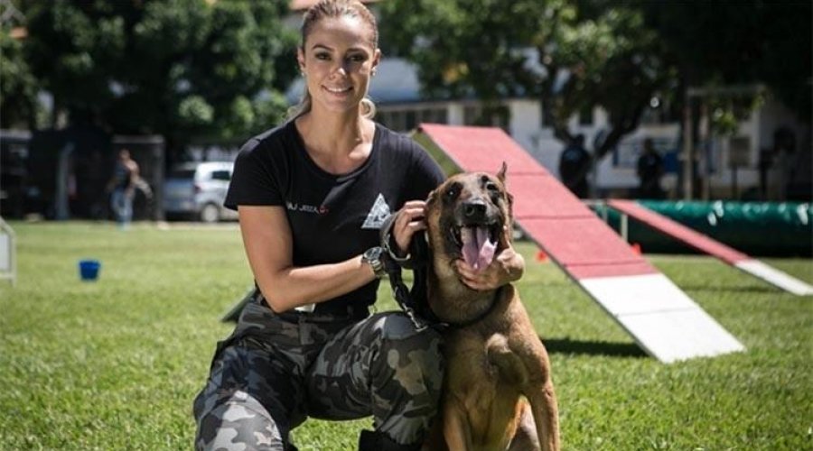 [Morte, sequestro, sucesso e solidão para alguns.  Você gostou do final de 'A Força do Querer'?]