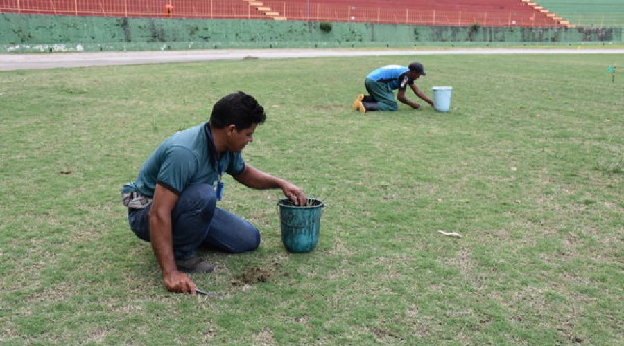 [Gramado do Estádio Lomanto Júnior passa por tratamento para eliminar fungos]