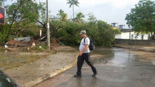 [Imagens: ventos fortes já derrubaram 20 árvores em Camaçari]