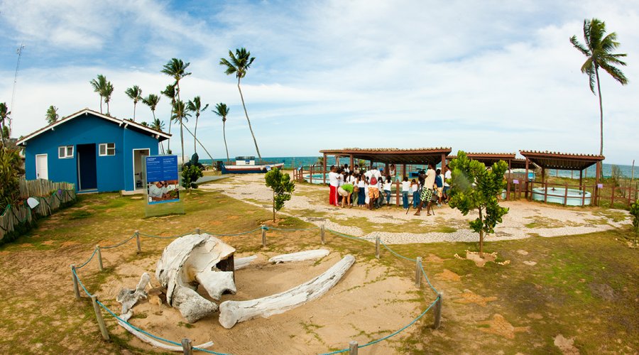 [Centro de visitantes do projeto Tamar é reaberto em Arembepe]