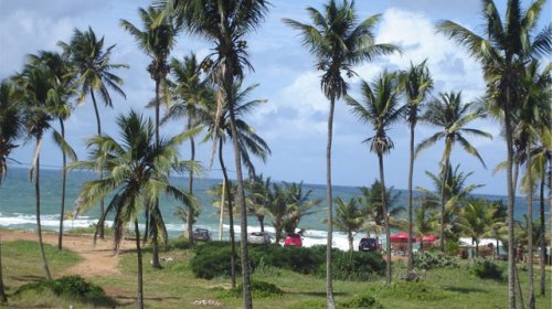 [Chegou o verão! A previsão é de sol com chuvas isoladas ]