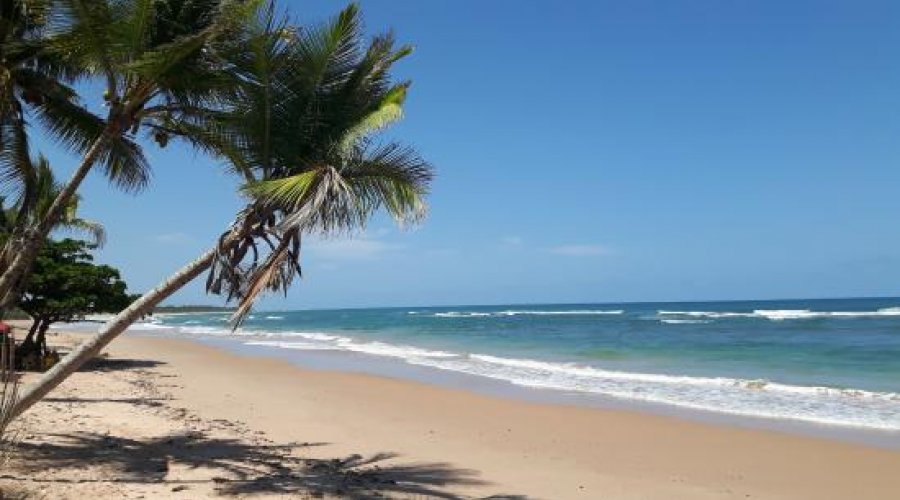 [Homem morre afogado após tentar salvar filho que entrou no mar ]