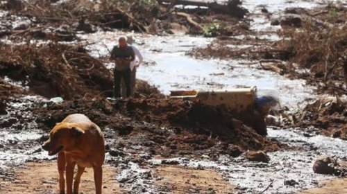 [Ibama vai multar a Vale em R$ 250 milhões por acidente com barragem]