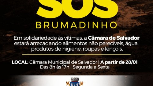 [Câmara de Salvador recebe doações para vítimas de Brumadinho]