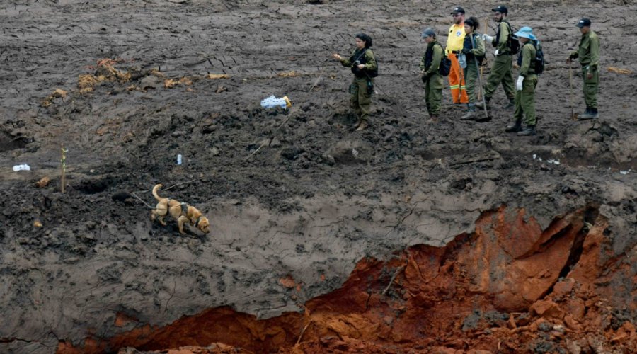 [Brumadinho: Equipes ainda buscam 160 desaparecidos]