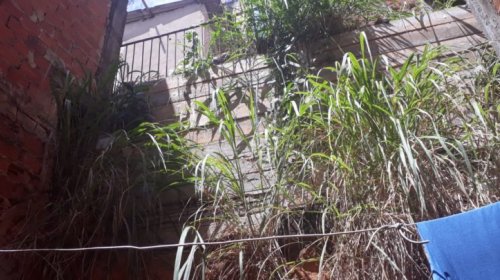 [Risco de desabamento de encosta na Nova República preocupa moradores]