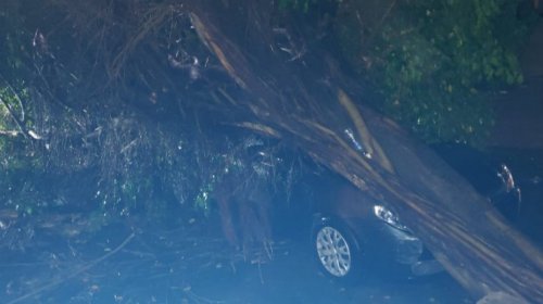 [Madrugada chuvosa em Salvador provoca 7 ocorrências ]