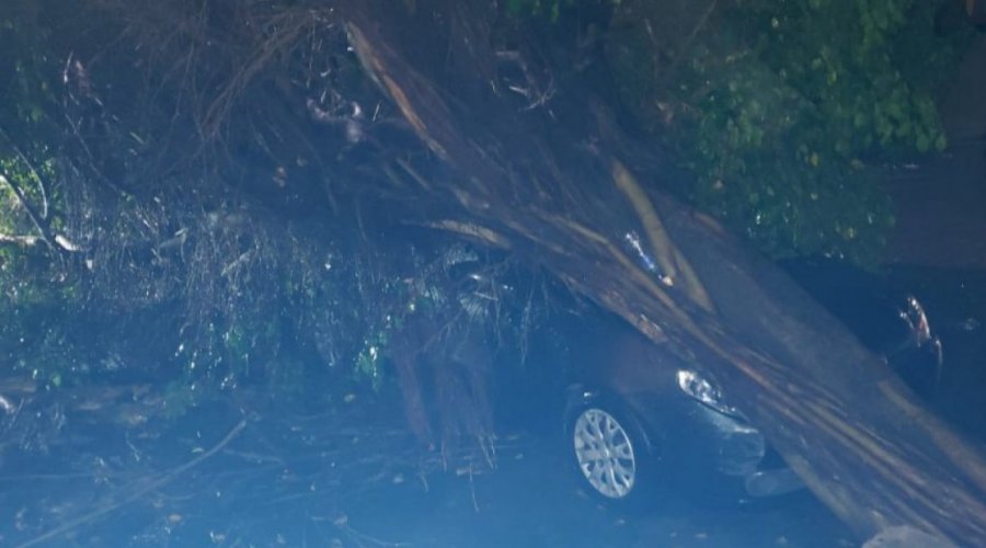 [Madrugada chuvosa em Salvador provoca 7 ocorrências ]