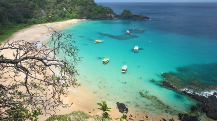 [Bolsonaro promete rever preço cobrado para frequentar as praias de Fernando de Noronha]