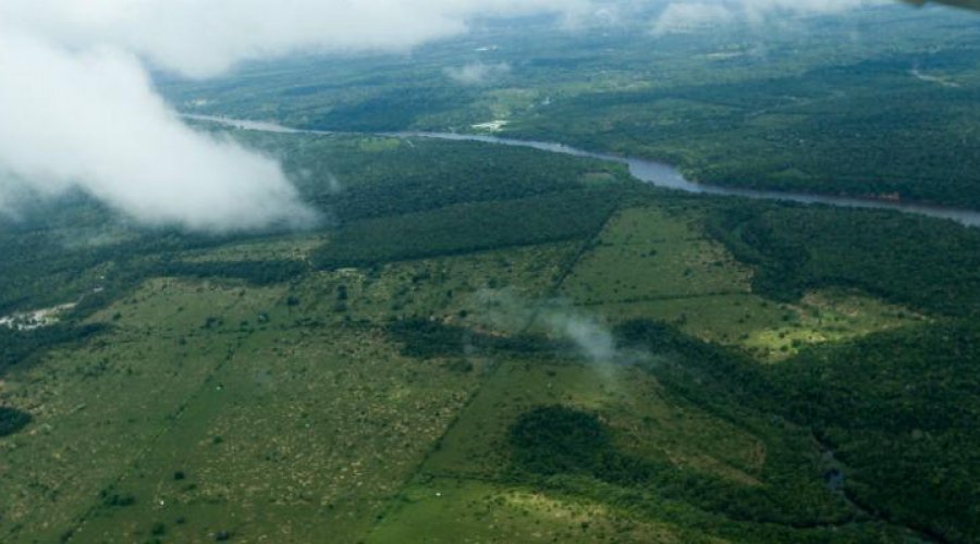 [Desmatamento na Amazônia cresce e põe em risco acordo com UE]