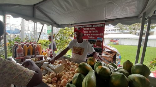 [Feira da Reforma Agrária abre espaço para outros mundos ]