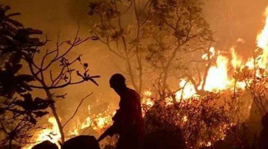 [Governo desbloqueia R$ 38,5 milhões para Defesa combater incêndios na Amazônia]