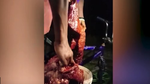 [População corta carne de baleia morta em Coutos para consumo]