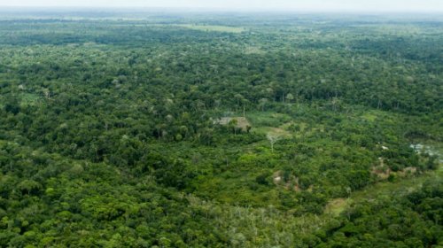 [UE: Queimadas na Amazônia podem complicar acordo com Mercosul]