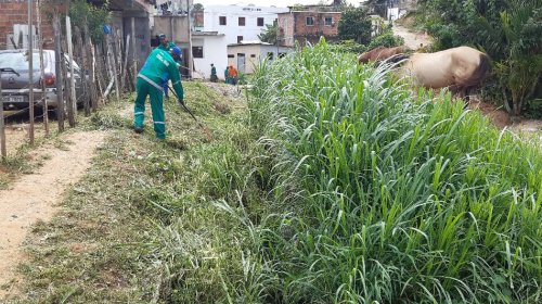 [LIMPURB realiza limpeza de vegetação em Pernambués]