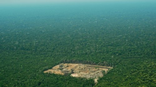 [Acordo libera R$ 1 bi de fundo da Petrobras para a Amazônia]