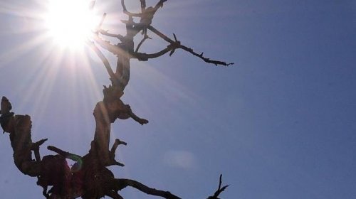 [Governo decreta situação de emergência em Barrocas]