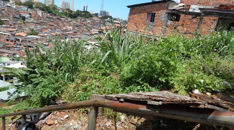 [Falta de encosta põe em risco famílias em rua do Engenho Velho da Federação]