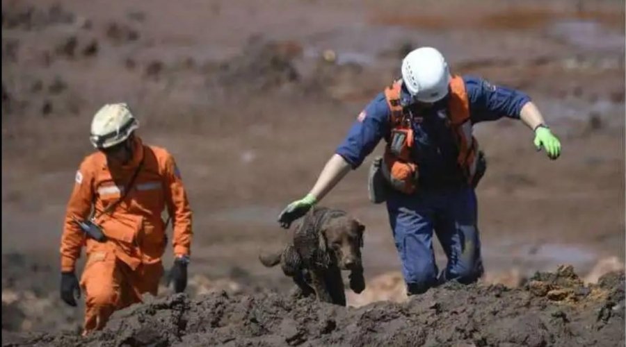 [Brumadinho: Bombeiros encontram mais um corpo de vítima de tragédia]