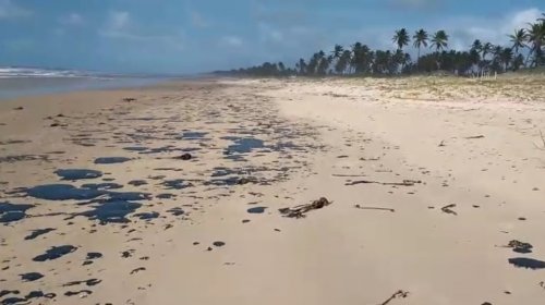 [Balanço da prefeitura contabiliza mais de 30 kg de petróleo retirados das praias de Salvador]
