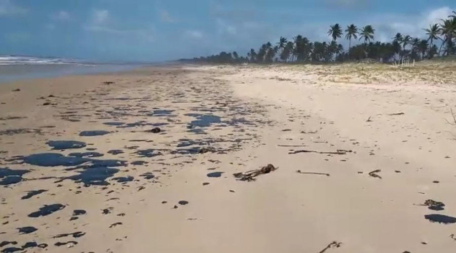 [Balanço da prefeitura contabiliza mais de 30 kg de petróleo retirados das praias de Salvador]
