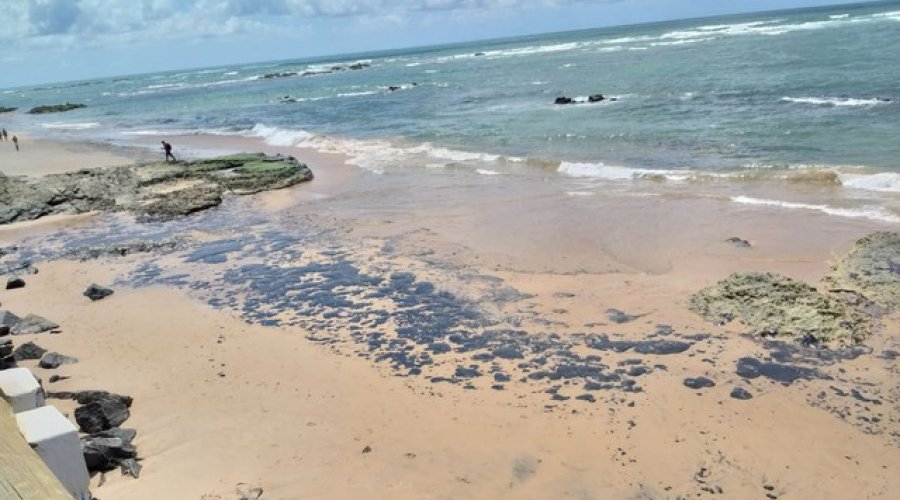 [Manchas de óleo chegam à praia da Pituba e do Jardim de Alah]