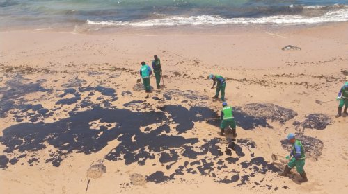 [Mais de 22 toneladas de óleo são retiradas das praias de Salvador, em apenas um dia]