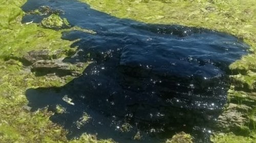 [Manchas de óleo são identificadas em três praias da Baía de Todos-os-Santos]