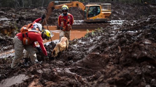 [Mais um corpo é encontrado em Brumadinho]