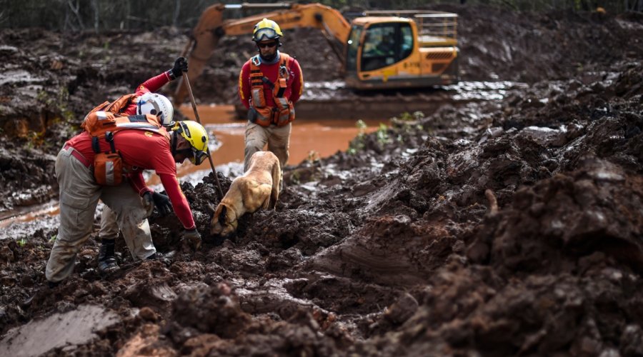 [Mais um corpo é encontrado em Brumadinho]