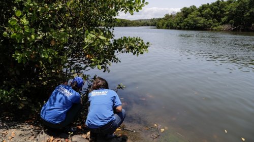 [Manchas de óleo aparecem no Rio Joanes, responsável pelo abastecimento de Salvador e Região Me...]