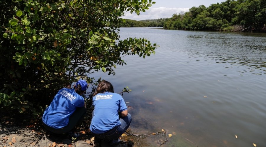 [Manchas de óleo aparecem no Rio Joanes, responsável pelo abastecimento de Salvador e Região Metropolitana]