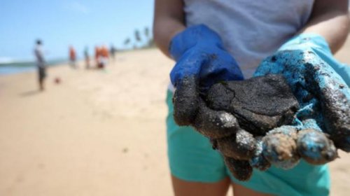 [Inema sinaliza praias impróprias para banho devido à contaminação do óleo]