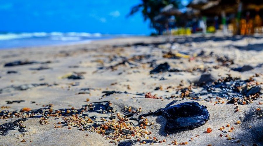 [Vazamento de óleo nas praias do Nordeste é inédito no mundo, aponta Ibama]