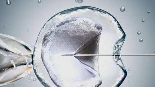 [Plano de saúde deverá custear fertilização in vitro, decide TJ-BA]