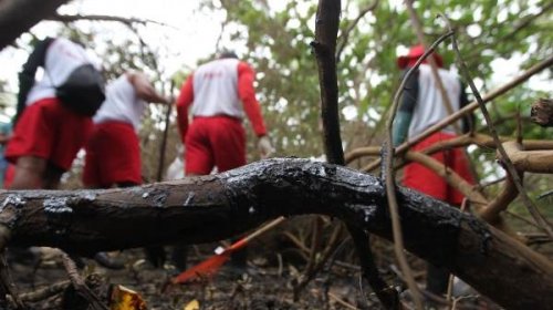[Corpo de Bombeiros retira 40 toneladas de óleo no litoral norte]