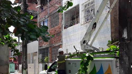 [Após denúncia poda de árvore em área de risco é executada na Vila Ruy Barbosa]
