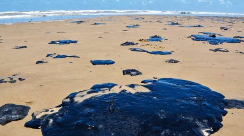 [MPF discute óleo no mar do Nordeste com Ministério do Meio Ambiente e Ibama]