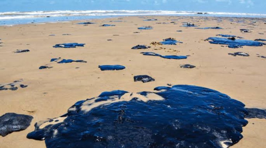 [MPF discute óleo no mar do Nordeste com Ministério do Meio Ambiente e Ibama]