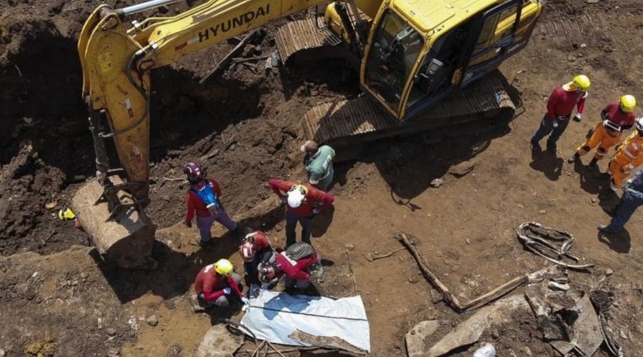 [Brumadinho: Nova vítima da barragem de é encontrada]