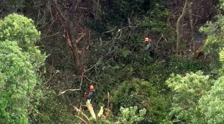 [Avião de pequeno porte cai em região de mata fechada em São Paulo]