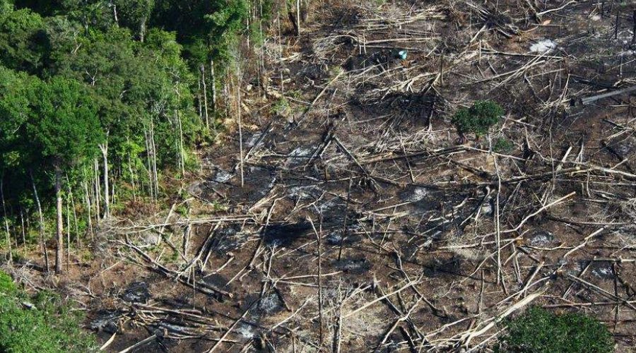 [Desde que Bolsonaro assumiu o governo, o desmatamento na Amazônia disparou, aponta coluna]