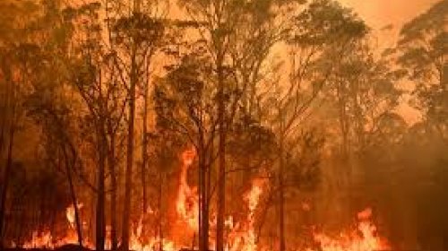 [Número de mortos em incêndio na Austrália sobe para 23]