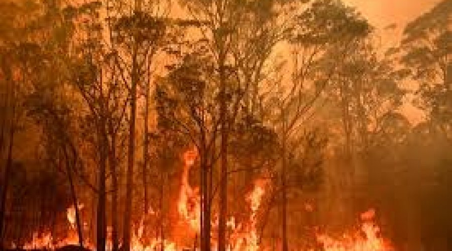 [Número de mortos em incêndio na Austrália sobe para 23]