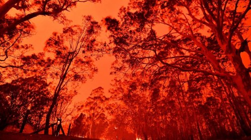 [Entenda por que os incêndios que atingem a Austrália são tão graves]