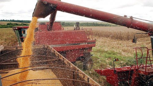 [IBGE: safra baiana de grãos tem queda de 11,15% em 2019]