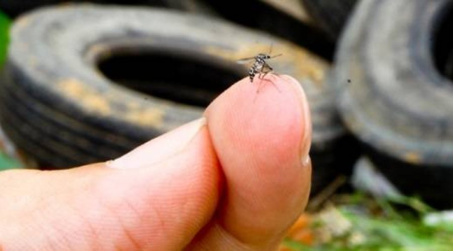 [Brasil registra em 2019 segundo maior número de mortes por dengue em 21 anos]