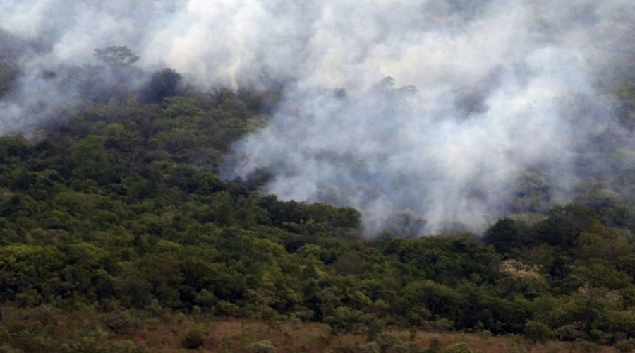 [Queimadas aumentam 86% no Brasil em 2019]