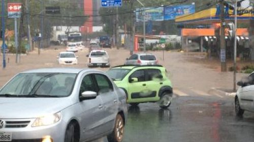 [Sobe para 139 o número de ocorrências registradas pela Codesal nesta quarta-feira (22)]